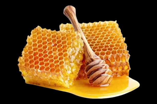 Jar of fresh organic honey with honeycomb